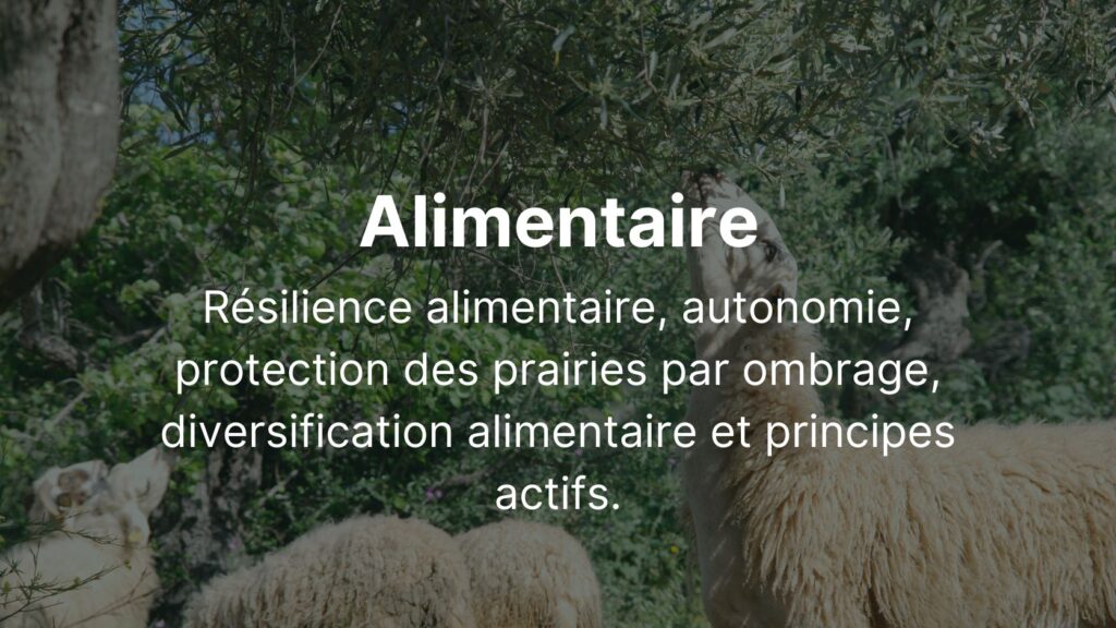 Alimentaire