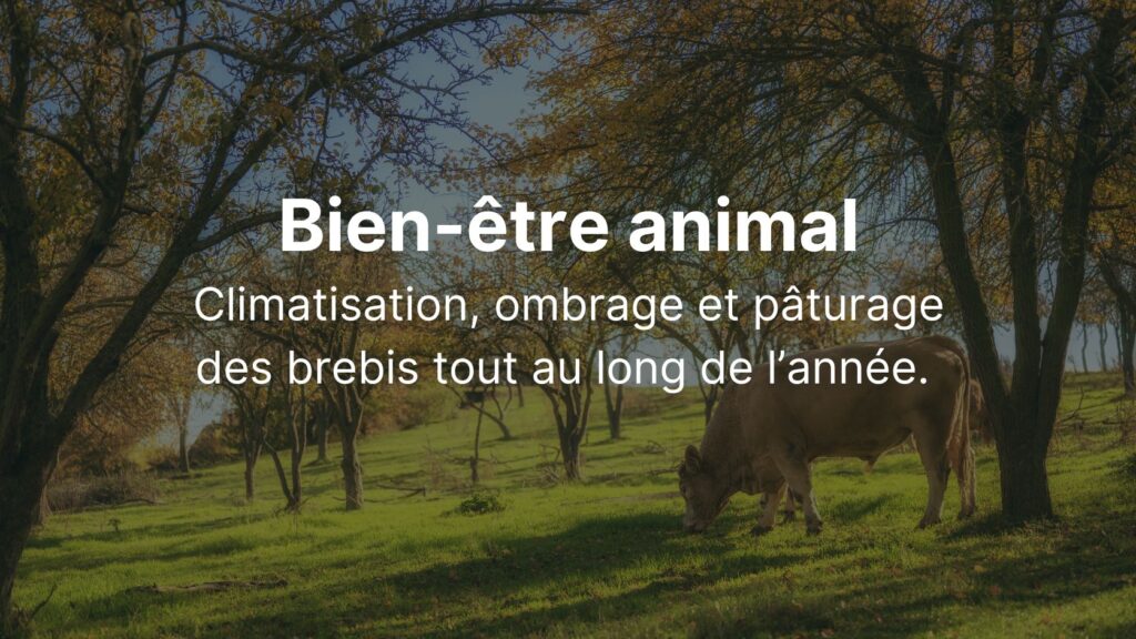 Bien-être animal