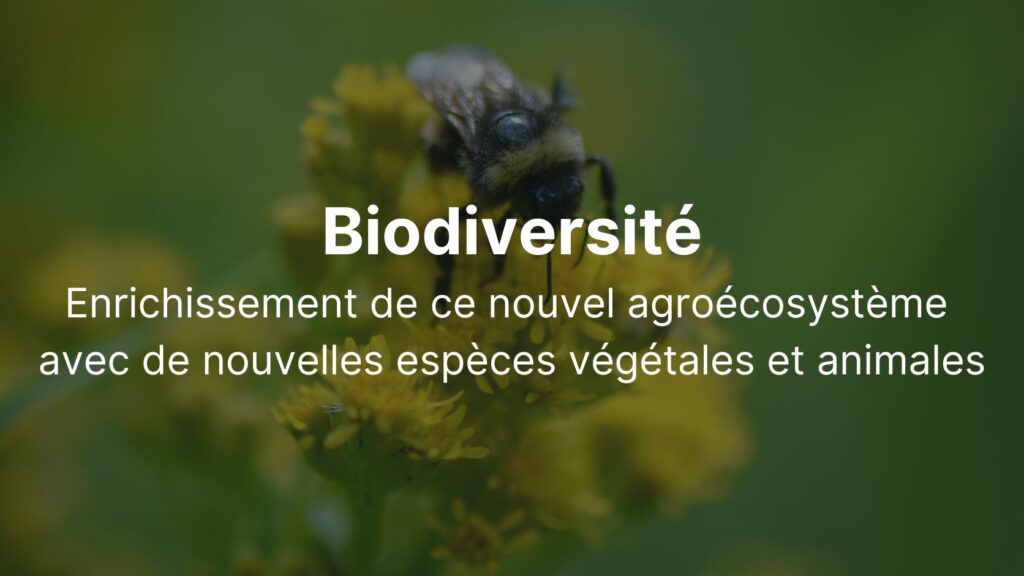 Biodiversité