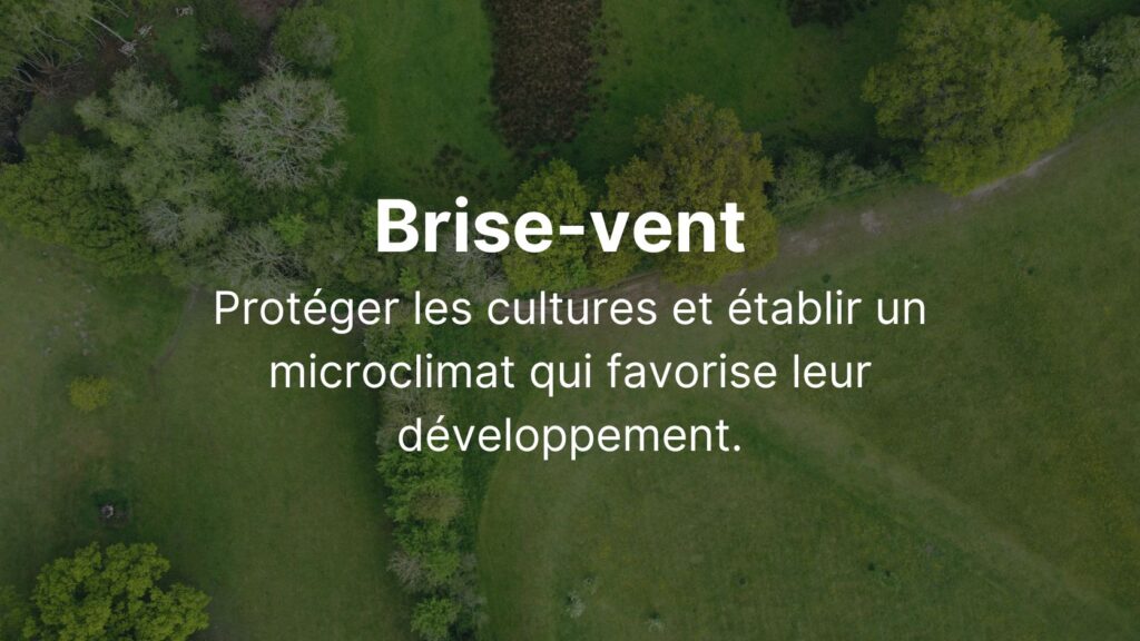 Brise-vent