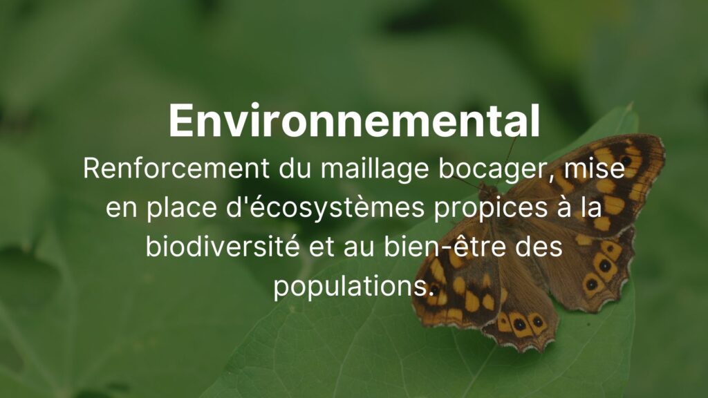 Environnemental