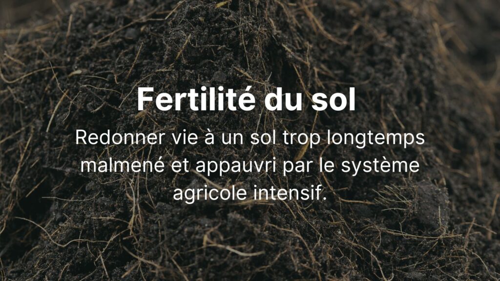 Fertilité du sol