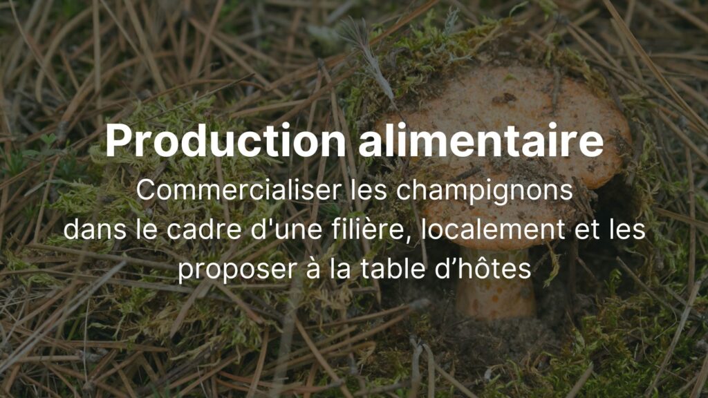 Production alimentaire