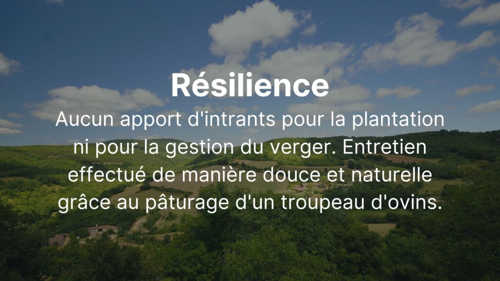 Résilience