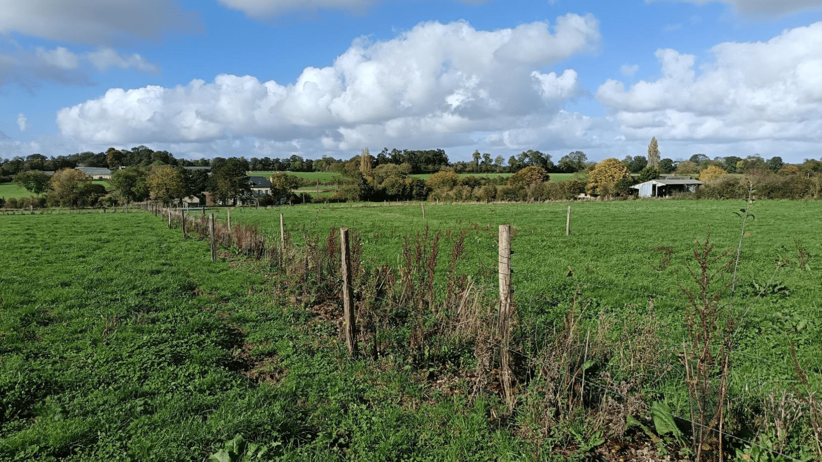 Près agroforestier